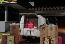 Polícia apreende cigarros contrabandeados em distrito de Santa Helena