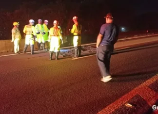 Homem morre atropelado na BR-277 em São Miguel do Iguaçu