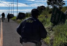 PRF atende atropelamento com vítima fatal na BR-277 em Foz do Iguaçu (PR)