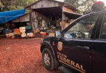 PF RESGATA TRÊS FAMÍLIAS EM OPERAÇÃO DE REPRESSÃO AO TRABALHO ESCRAVO EM CÉU AZUL/PR.