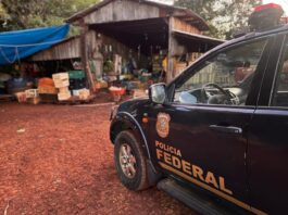 PF RESGATA TRÊS FAMÍLIAS EM OPERAÇÃO DE REPRESSÃO AO TRABALHO ESCRAVO EM CÉU AZUL/PR.