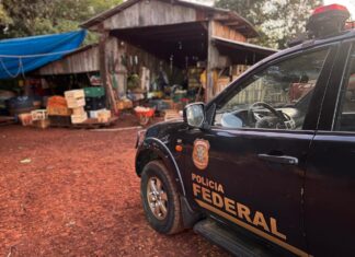 PF RESGATA TRÊS FAMÍLIAS EM OPERAÇÃO DE REPRESSÃO AO TRABALHO ESCRAVO EM CÉU AZUL/PR.