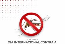 Dia Mundial da Dengue: prevenir é a melhor proteção