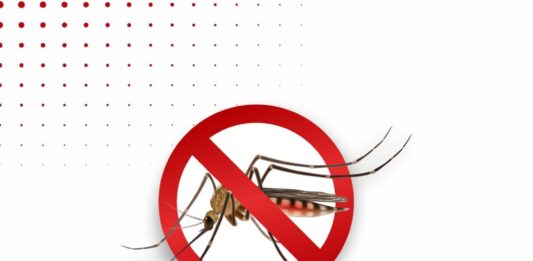 Dia Mundial da Dengue: prevenir é a melhor proteção