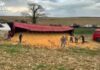 Carreta com 750 sacas de milho tomba em estrada rural de Toledo