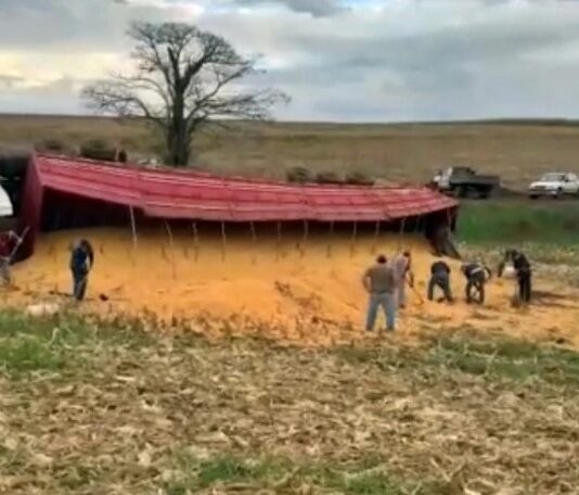 Carreta com 750 sacas de milho tomba em estrada rural de Toledo