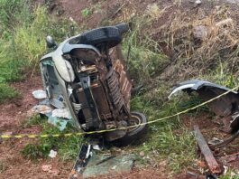 Jovem morre após veículo sair da pista e atingir árvore na PR-495, entre Missal e Dom Armando