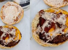 Cliente usa inteligência artificial para simular barata em lanche e pedir reembolso no Paraná