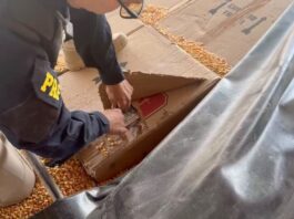 PRF apreende 139,5 mil maços de cigarros e 53 quilos de maconha que seriam levados a Toledo