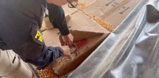 PRF apreende 139,5 mil maços de cigarros e 53 quilos de maconha que seriam levados a Toledo