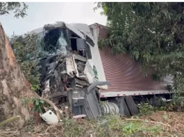 Choque contra árvore envolve carreta entre Maripá e PalotinaOs danos foram de grande monta, porém o motorista não resultou com ferimentos.