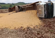 Carreta carregada com 35 toneladas de milho tomba em estrada rural de Toledo