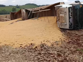 Carreta carregada com 35 toneladas de milho tomba em estrada rural de Toledo