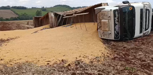 Carreta carregada com 35 toneladas de milho tomba em estrada rural de Toledo