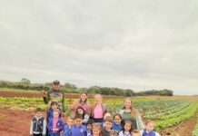 Pé na terra: alunos conhecem de perto a origem dos alimentos da merenda escolar