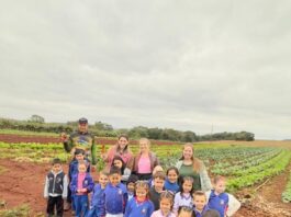 Pé na terra: alunos conhecem de perto a origem dos alimentos da merenda escolar