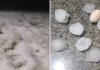 Quintal parece coberto de neve após temporal de granizo com pedras do tamanho de ovos no Paraná