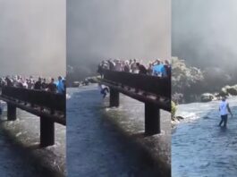 Turista que pulou nas Cataratas para recuperar celular recebeu multa de R$ 7,8 mil