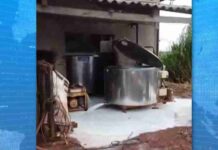 Sem luz, produtores descartam 1,5 mil litros de leite em Cascavel