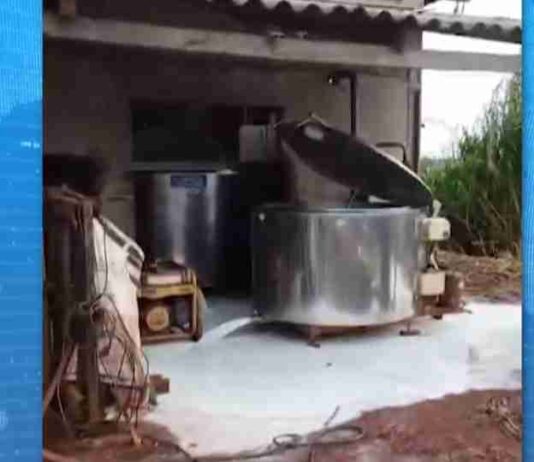 Sem luz, produtores descartam 1,5 mil litros de leite em Cascavel