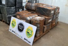 Ação integrada apreende mais de 1 tonelada de maconha em caminhão na BR-277, em Matelândia