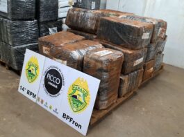 Ação integrada apreende mais de 1 tonelada de maconha em caminhão na BR-277, em Matelândia